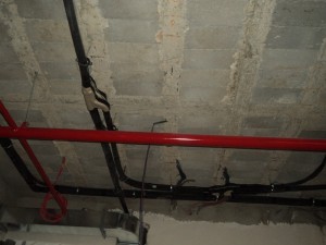 DSC07420