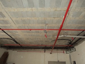 DSC07438